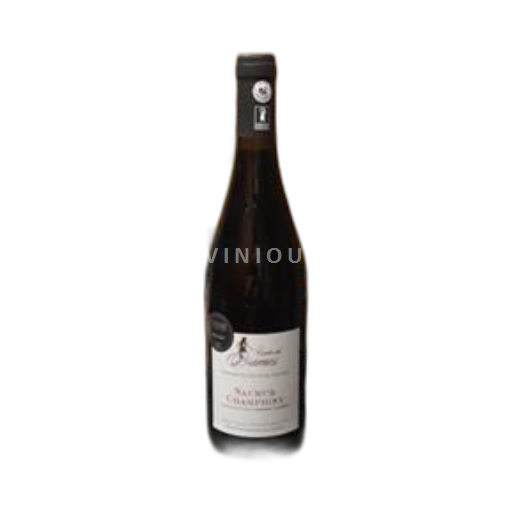 Valle del Loira Saumur-Champigny Domaine Des Hauts de Sanzier Cuve des Dames 2021