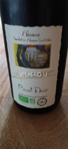 Alsace Grand Cru Kolonne- Icke årgångsbetecknad