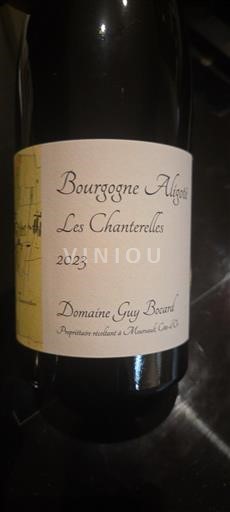 Burgundia Bourgogne-aligoté Domaine Guy Bocard Les Chanterelles 2023