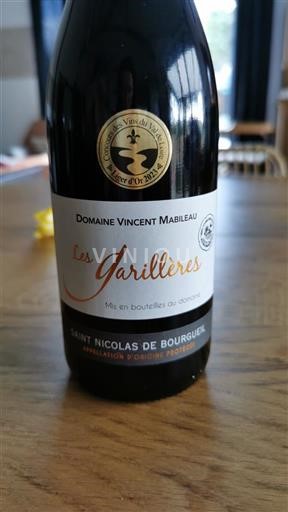 Dolina Loare Saint-Nicolas-De-Bourgueil Domaine Vincent Mabileau Les Garillières 2022