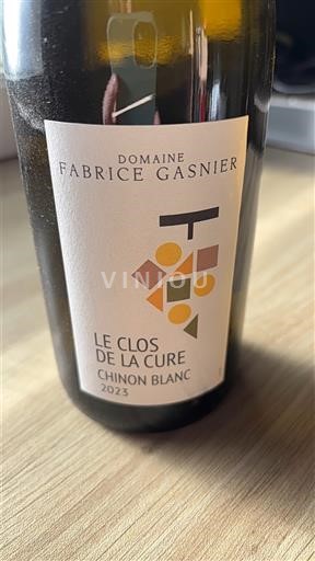 Vallée de la Loire Chinon Domaine Fabrice Gasnier Le Clos de la Cure 2023