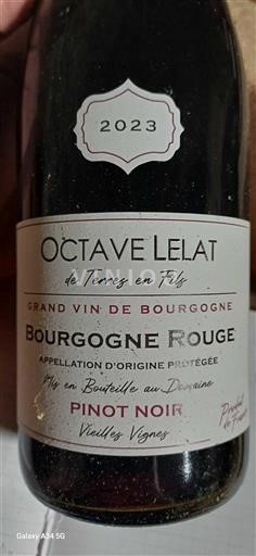 Burgund Bourgogne Rosé Octave Lelat Vielles Vignes 2023