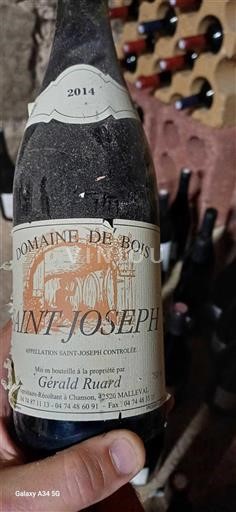 Valle del Rodano Saint-Joseph Domaine Bois 2014