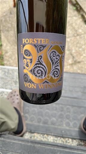 Palatinat Pfalška Von Winning Forster Riesling 2023