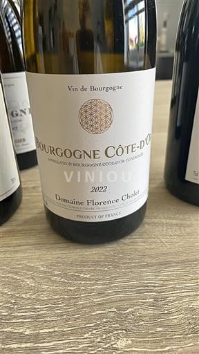 Burgundi Bourgogne Côte d'Or Domaine Florence Cholet 2022