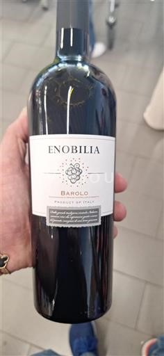 Vin Rouge sec Enobilia 2020 Italie Piémont Barolo DOC