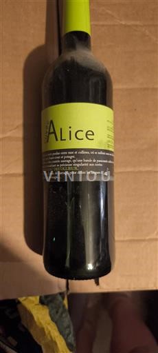 Languedoc Ikke specificeret Domaine Des Ollieux Alice Ikke årgangsbestemt