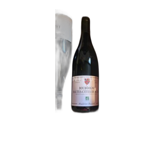 Borgoña Hautes Côtes de Nuits Hudelot-Bajard 2023