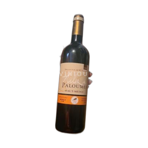 Bordeaux Haut-Médoc Paloumey Ailes 2007