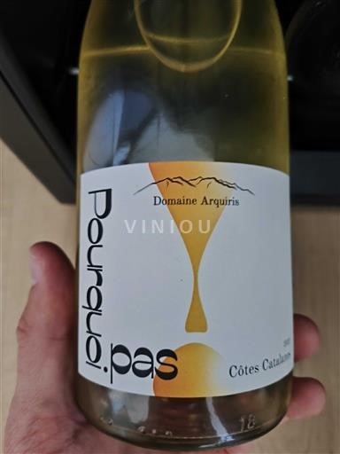 Linguadoca e Rossiglione Côtes catalanes Domaine Arquiris Pourquoi pas Senza annata
