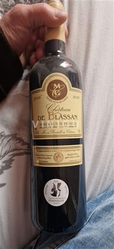 Bordo Bordo superior Château Blassan 2016