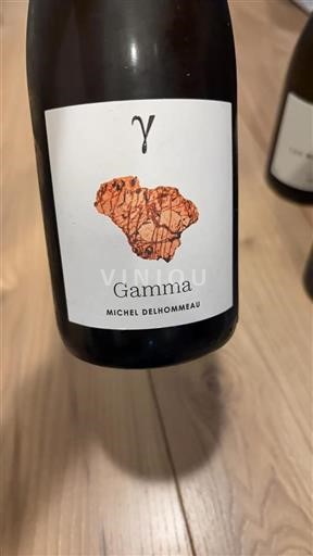 Loiredalen Muscadet-Sèvre-et-Maine Michel Delhommeau Gamma 2023