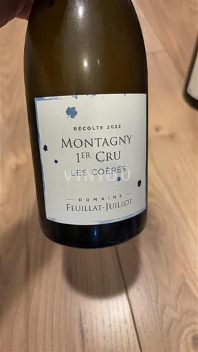 Burgundi Määrittelemätön Premier Cru Domaine Feuillat-Juillot Les Coères 2022