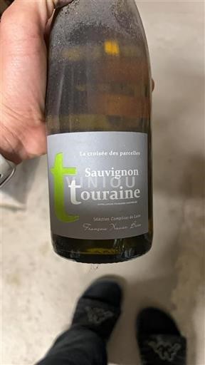 Loiretal Touraine François Xavier Barc La croisée des parcelles 2020