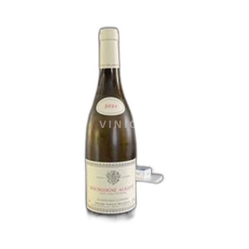 Vin Blanc sec Domaine Vincent Bouzereau 2024 France Bourgogne Bourgogne-aligoté AOC
