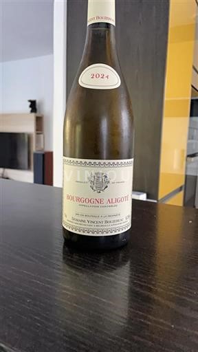 Borgoña Borgoña-Aligoté Domaine Vincent Bouzereau 2024
