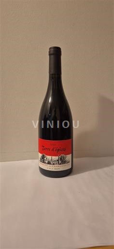 Valle del Rodano Côtes-du-Rhône Domaine Grangeneuve Terre d'Épices 2022