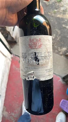 Burdeos Pauillac Château Les Ormes de Pez 2010