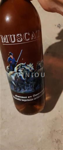 Linguadoca Moscato di Frontignan Chevaux en Camargue Senza annata