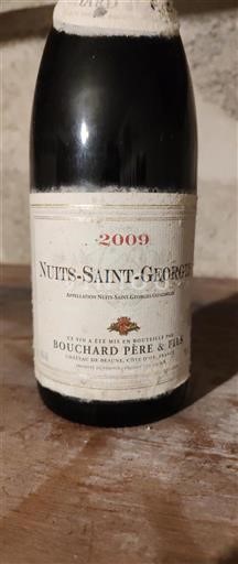Bourgogne Nuits-Saint-Georges Bouchard Père & Fils 2009