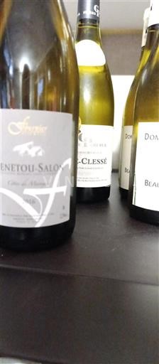 Loire Valley Menetou-Salon Fournier Père & Fils Côte de Morogues 2016