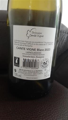 Languedoque Languedoc Domaine Cante Vigne Cante Vigne Blanc 2023
