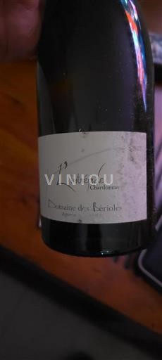Údolí Loiry Côte-Roannaise Domaine Des Bérioles L'intrépide Chardonnay 2022