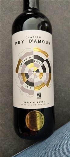 Bordeaux Côtes-de-bourg Château Puy Amour Grain de Folie 2022