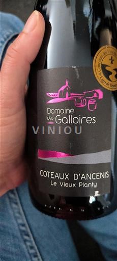 Loirevallei Coteaux d'Ancenis Domaine Des Galloires Le Vieux Planty 2021