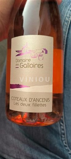 Loirevallei Coteaux d'Ancenis Domaine Des Galloires Les deux fillettes 2023