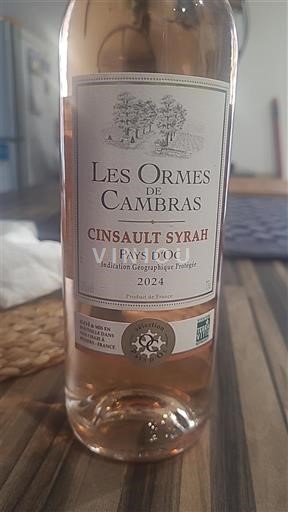 Languedoc und Roussillon Pays d'Oc Les Ormes de Cambras Cinsault Syrah 2024