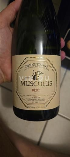 Alsasko Crémant d'Alsace Musculus Neročník