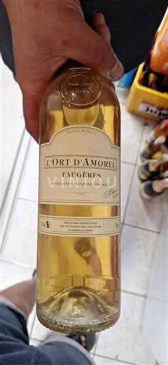 Languedoc Faugères L'ort Amorel 2009