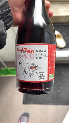 Loire Valley Chinon Domaine Charles Pain Pet au Pain au Raisin 2023