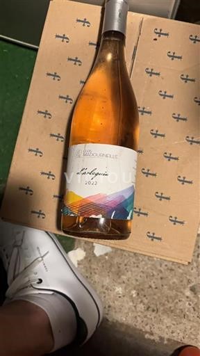 Languedoc Ikke specificeret Clos Madourneille L'Harlequin 2022