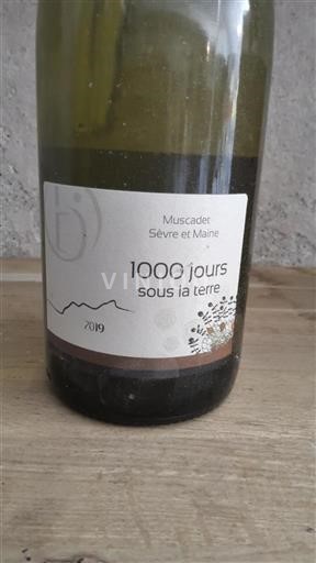Loiredalen Muscadet-Sèvre-et-Maine 1000 jours sous la terre 2019