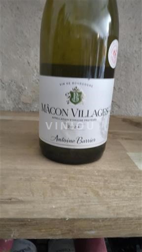 Borgogna Mâcon e Mâcon-Villages Antoine Barrier 2024
