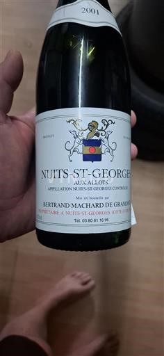 Burgundija Nuits-Saint-Georges Bertrand Machard de Gramont Aux Allots 2001