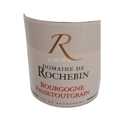 Borgogna Mâcon e Mâcon-Villages Domaine Rochebin 2023