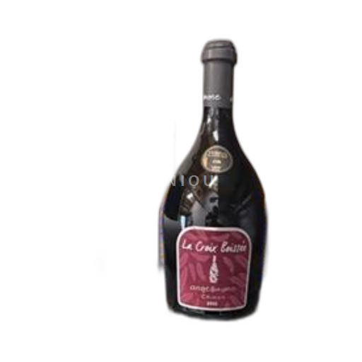 Loire Valley Chinon Angelllaume La Croix Boissée 2021