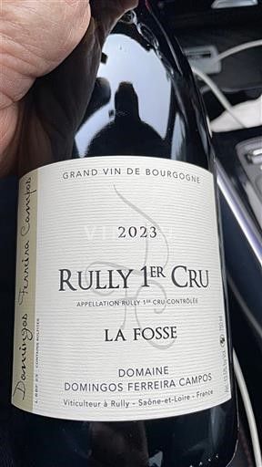 Borgogna Non specificato Premier Cru Domingos Ferreira Campos La Fosse 2023