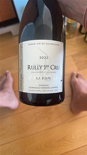 Borgogna Non specificato Premier Cru Domingos Ferreira Campos La Fosse 2023