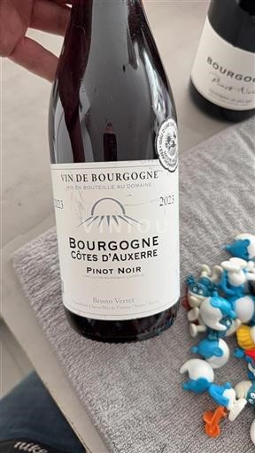 Burgund Bourgogne Côtes d'Auxerre Bruno Verret 2023