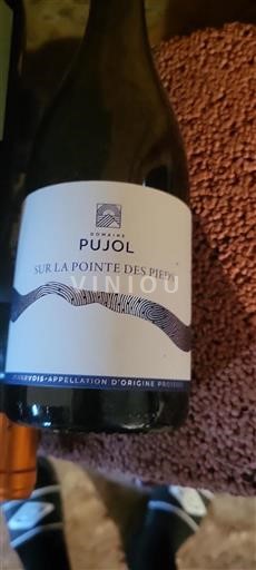 Linguadoca Minervois Domaine Pujol Sur la Pointe des Pieds 2022
