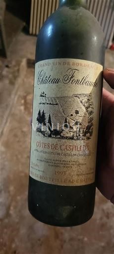 Burdeos No especificado Château Fontbaude 1993