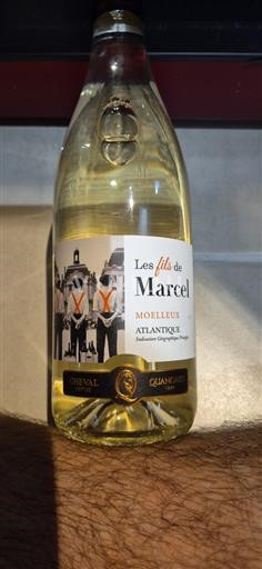 Aquitaine and Charentes Atlantic Cheval Quancard Les fils de Marcel 2024