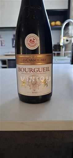Valle del Loira Bourgueil Les Caractères 2022