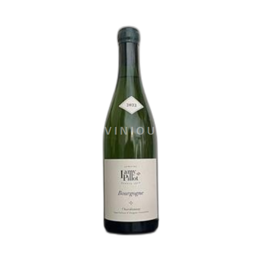 Bourgogne Domaine Lamy-Pillot 2022