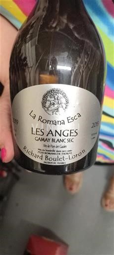 Beaujolais No especificado Richard Boulet-Loron Les Anges 2019
