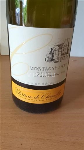 Borgogna Montagny Premier Cru Château Chamilly Les Burnins 2019